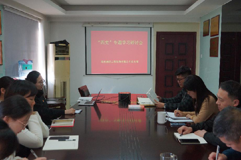 咨询团支部召开“四史”学习教育专题研讨会