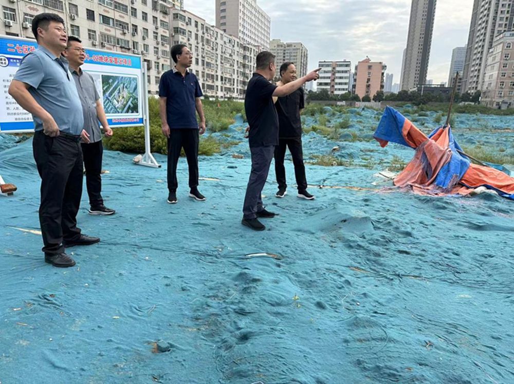 dcbox小金库官网党委委员、副总经理张岩到侯寨新镇区安置区调研项目建设工作